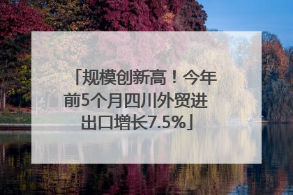 规模创新高！今年前5个月四川外贸进出口增长7.5%