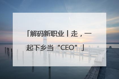解码新职业丨走，一起下乡当“CEO”