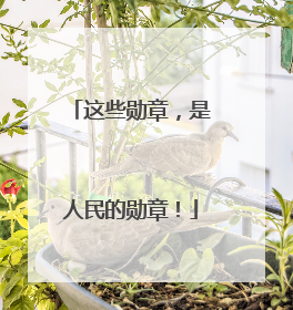 这些勋章，是人民的勋章！