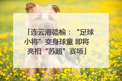 连云港赣榆：“足球小将”变身球童 即将亮相“苏超”赛场
