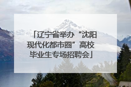 辽宁省举办“沈阳现代化都市圈”高校毕业生专场招聘会