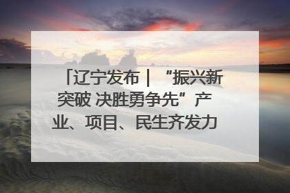 辽宁发布｜“振兴新突破 决胜勇争先”产业、项目、民生齐发力 葫芦岛按下决胜之年“加速键”