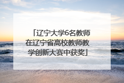 辽宁大学6名教师在辽宁省高校教师教学创新大赛中获奖