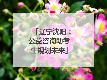 辽宁沈阳：公益咨询助考生规划未来