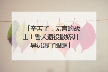 辛苦了，无言的战士！警犬退役撒娇训导员湿了眼眶