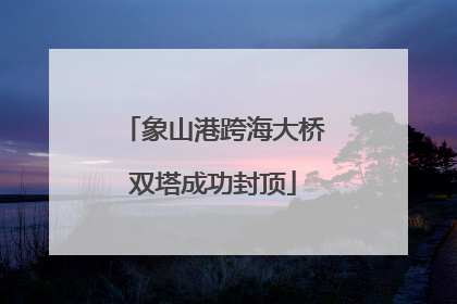 象山港跨海大桥双塔成功封顶