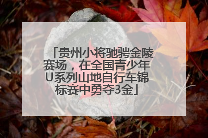 贵州小将驰骋金陵赛场，在全国青少年U系列山地自行车锦标赛中勇夺3金
