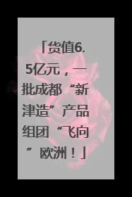货值6.5亿元，一批成都“新津造”产品组团“飞向”欧洲！