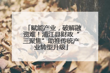 赋能产业，破解融资难！浦江县财政“三聚焦”助推传统产业转型升级