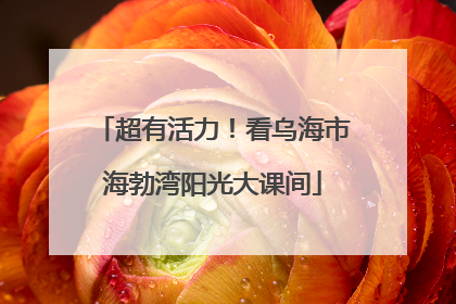 超有活力！看乌海市海勃湾阳光大课间