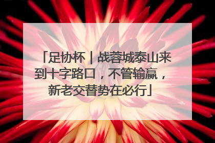 足协杯｜战蓉城泰山来到十字路口，不管输赢，新老交替势在必行