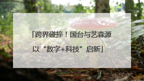 跨界碰撞！国台与艺森源以“数字+科技”启新