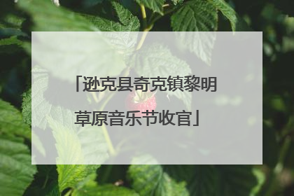 逊克县奇克镇黎明草原音乐节收官