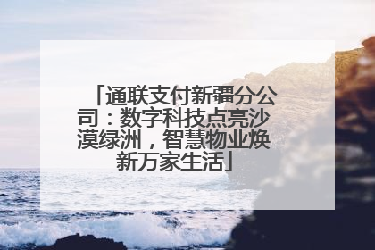 通联支付新疆分公司：数字科技点亮沙漠绿洲，智慧物业焕新万家生活