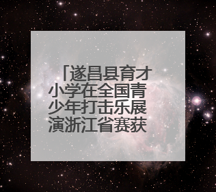 遂昌县育才小学在全国青少年打击乐展演浙江省赛获佳绩