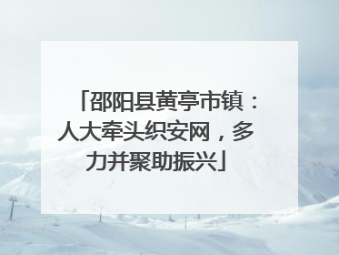 邵阳县黄亭市镇：人大牵头织安网，多力并聚助振兴