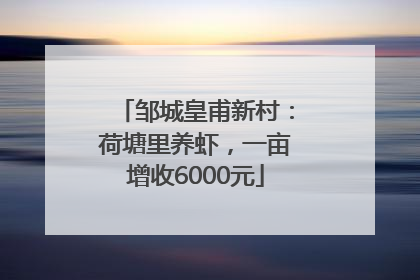 邹城皇甫新村：荷塘里养虾，一亩增收6000元