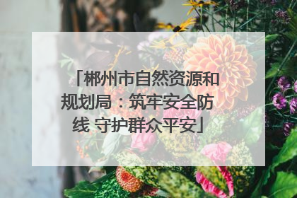 郴州市自然资源和规划局：筑牢安全防线 守护群众平安