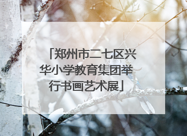 郑州市二七区兴华小学教育集团举行书画艺术展