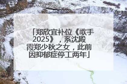 郑欣宜补位《歌手2025》，系沈殿霞郑少秋之女，此前因抑郁症停工两年