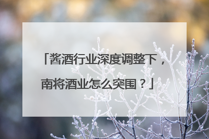 酱酒行业深度调整下，南将酒业怎么突围？