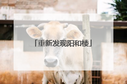 重新发现阳和楼