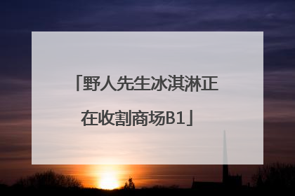 野人先生冰淇淋正在收割商场B1