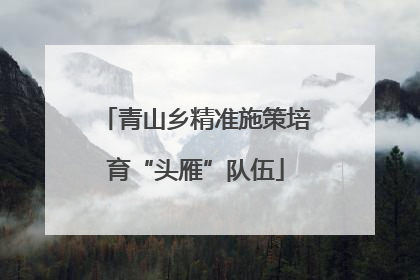 青山乡精准施策培育“头雁”队伍