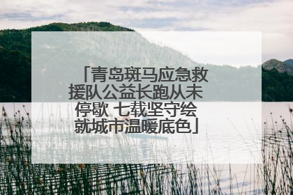 青岛斑马应急救援队公益长跑从未停歇 七载坚守绘就城市温暖底色