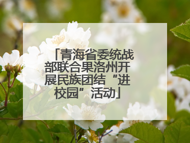 青海省委统战部联合果洛州开展民族团结“进校园”活动