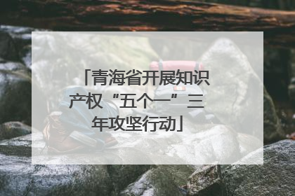 青海省开展知识产权“五个一”三年攻坚行动