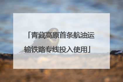 青藏高原首条航油运输铁路专线投入使用