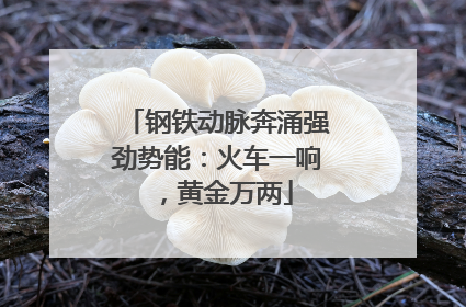 钢铁动脉奔涌强劲势能：火车一响，黄金万两