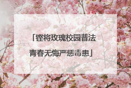 铿将玫瑰校园普法 青春无悔严惩毒患