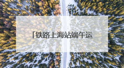 铁路上海站端午运输方案出台 5天或发客238.5万