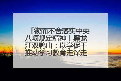 锲而不舍落实中央八项规定精神丨黑龙江双鸭山：以学促干推动学习教育走深走实 从小事入手写好“民生答卷”