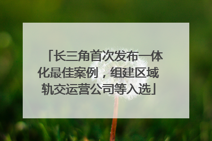 长三角首次发布一体化最佳案例，组建区域轨交运营公司等入选