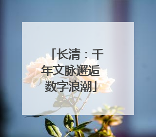 长清：千年文脉邂逅数字浪潮