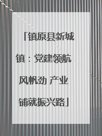 镇原县新城镇：党建领航风帆劲 产业铺就振兴路