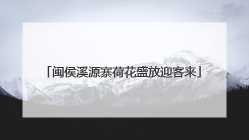 闽侯溪源寨荷花盛放迎客来