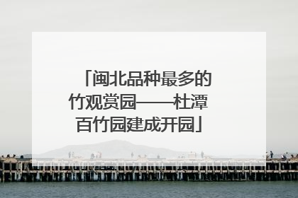 闽北品种最多的竹观赏园——杜潭百竹园建成开园