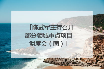 陈武军主持召开部分领域重点项目调度会（图）