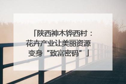 陕西神木铧西村：花卉产业让美丽资源变身“致富密码”