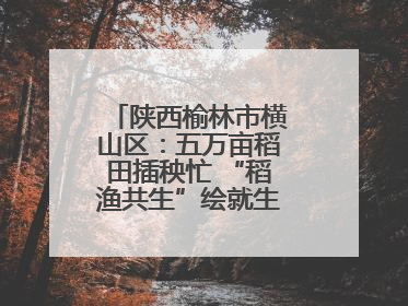 陕西榆林市横山区：五万亩稻田插秧忙 “稻渔共生”绘就生态富民新画卷