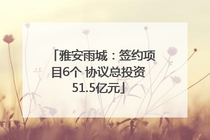 雅安雨城：签约项目6个 协议总投资51.5亿元