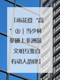 雨花登“高”③｜当少林拳碰上非洲鼓 文明互鉴自有动人韵律