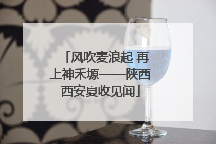风吹麦浪起 再上神禾塬——陕西西安夏收见闻
