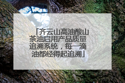 齐云山高油酸山茶油启用产品质量追溯系统，每一滴油都经得起追溯