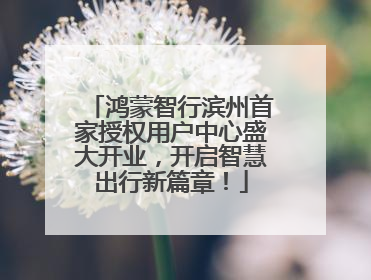 鸿蒙智行滨州首家授权用户中心盛大开业，开启智慧出行新篇章！
