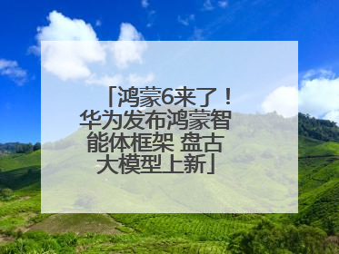 鸿蒙6来了！华为发布鸿蒙智能体框架 盘古大模型上新